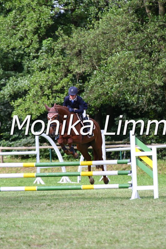 007L8892_Melody of Dream_Springpferde_Axx.JPG